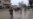 US Soldiers Killed in IS-Claimed Syria Blast