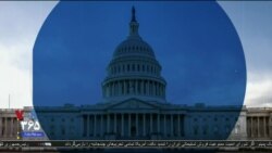 اخبار شامگاهی