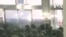 緊急戒嚴引發政治危機 韓國六大在野黨聯手提交尹錫悅彈劾案