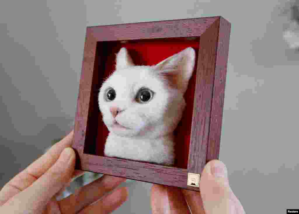 Japanese artist Sachi shows off her creation of a realistic 3D cat portrait, made by using felted wool, at her house in Sagamihara, Japan.