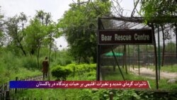 تاثیرات گرمای شدید و تغیرات اقلیمی بر حیات پرندگاه در پاکستان
