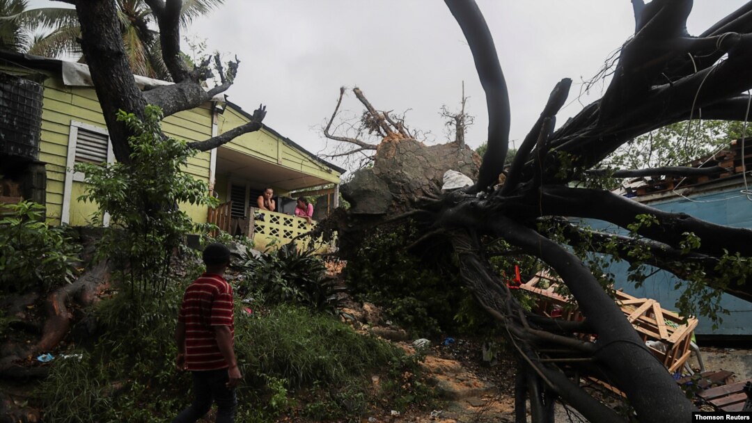 Pohon tumbang akibat Badai Tropis Fred yang menghantam kawasan Santo Domingo, Republik Dominika, 11 Agustus 2021.
