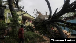 Pohon tumbang akibat Badai Tropis Fred yang menghantam kawasan Santo Domingo, Republik Dominika, 11 Agustus 2021.
