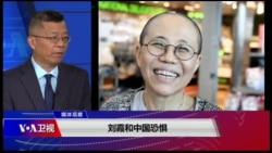媒体观察(海涛)：刘霞和中国恐惧