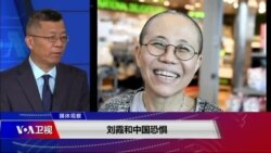 媒体观察(海涛):刘霞和中国恐惧