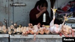 Seorang pejual tengah menyantap makanannya sambil menunggu pembeli di kios ayam di sebuah pasar di Hefei, propinsi Anhui (1/4). Dua orang di Shanghai dilaporkan meninggal dan satu orang di Anhui dalam keadaan gawat akibat terinfeksi virus flu burung jenis H7N9.