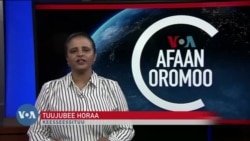 Tamsaasa Guyaadhaa Guyyaa