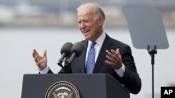 El vicepresidente Biden aseguró que su gobierno continúa progresando en la construcción de un programa para el control de armas.