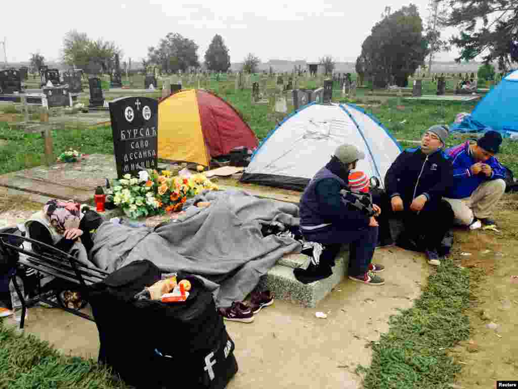 Migrants wait in a cemetery to cross the border from Serbia near Tovarnik, Croatia.