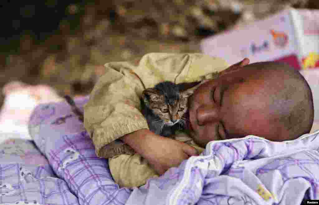 A child, cuddling a cat, rests under a shelter at the earthquake zone in Ludian county, Zhaotong, Yunnan province, China, Aug. 5, 2014.