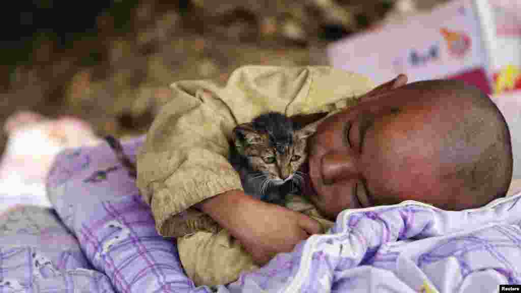 Un enfant, caressant un chat, repose sous un abri dans la zone du tremblement de terre dans le comté de Ludian, Zhaotong, province du Yunnan, le 5 Août 2014.