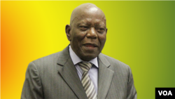 Didymus Mutasa