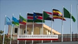 索马里将主办政府间发展组织部长级峰会