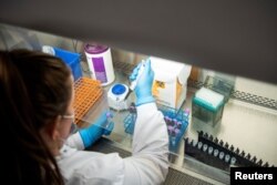 Microbiology technologists test patient samples for COVID-19 at the Wexner Medical Center in Columbus, Ohio, Dec. 6, 2021.