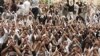 Yemen hoan nghênh phái bộ nhân quyền Liên Hiệp Quốc