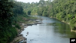 파나마 다리엔의 열대우림 사이를 지난 이페티 강.