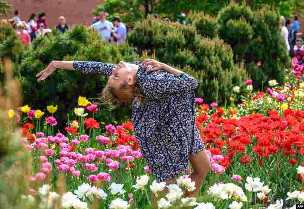A young woman dances in a field of tulips in a park in central Moscow as Russia enjoys a heatwave while the rest of Europe struggles with cold weather.