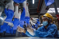 FILE - A worker inspects disposable gloves at the Top Glove factory in Shah Alam on the outskirts of Kuala Lumpur, Malaysia, August 26, 2020.