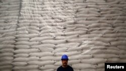 A worker poses for a photo in front of sacks filled with sugar at Emiliano Zapata sugar mill in Zacatepec de Hidalgo, in Morelos state, Mexico, March 7, 2015.