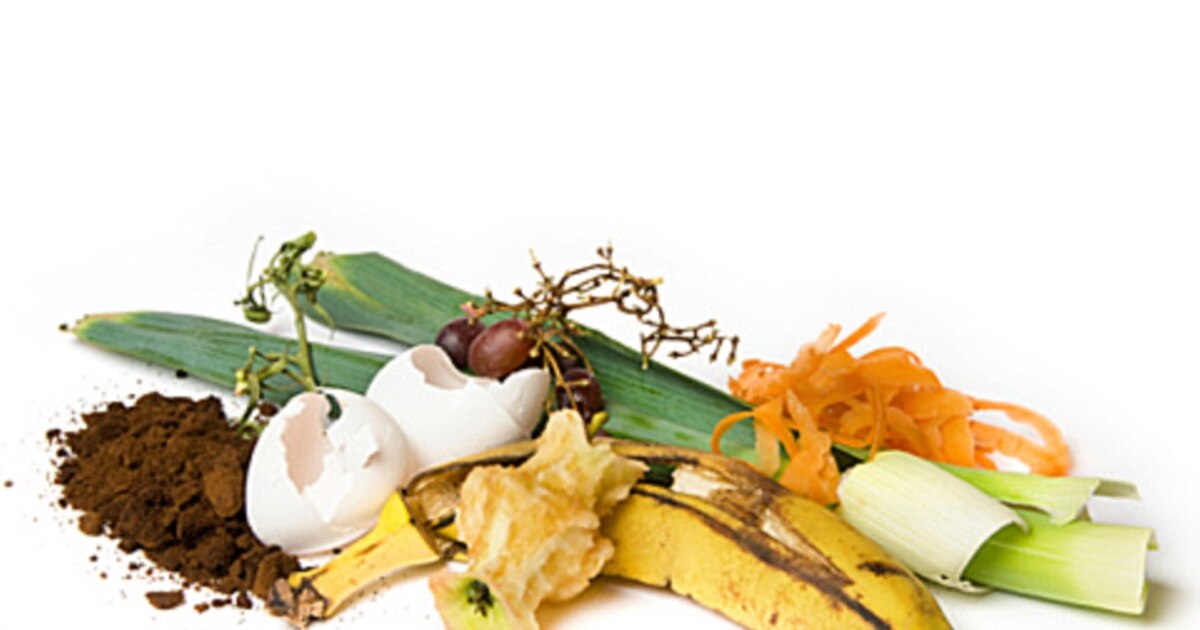 Buqa bilan jinsiy aloqa qilayotgan sigirni korsating