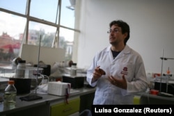 Colombian Scientists Broaden Substance to Offer protection to Bees from Chemical substances