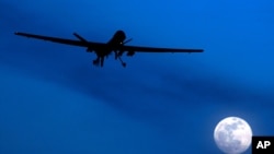 资料照片：一架美国捕食者无人机在阿富汗南部坎大哈机场上空飞行。(2010年1月31日)
