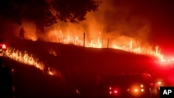 Flames from a backfire burn as CalFire crews battle the Ditwiler Fire near Mariposa, California, July 18, 2017. 