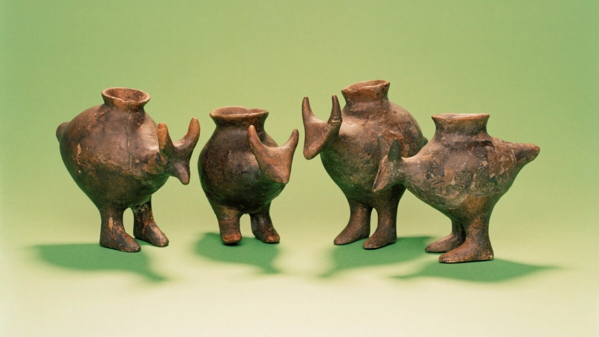 Scientists Discover ‘Cute’ Prehistoric Baby Bottles