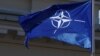 Factbox: A Look at NATO