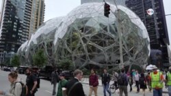 Descubriendo la innovadora sede de Amazon en Seattle