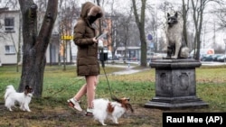 FILE - Habit stacking could be walking a pet and listening to news, a book, or podcast. Here a woman looks at her device while walking her dogs in a park in Tallinn, Estonia, Dec 16, 2020.(AP Photo/Raul Mee)