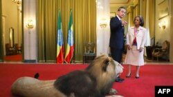 资料照片：中国外长王毅访问埃塞俄比亚时与祖德总统交谈。（2019年1月3日）