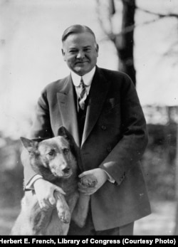 Herbert Hoover with his pet Belgian Shepherd dog King Tut, about 1928.