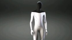 Quiz - Tesla Plans to Build Human-like Robot by Next Year