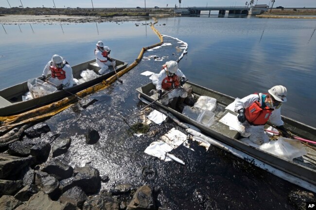 Empreiteiros de limpeza implantam skimmers e barreiras flutuantes conhecidas como barreiras para tentar impedir novas incursões de petróleo bruto no Wetlands Talbert Marsh em Huntington Beach, Califórnia, domingo, 3 de outubro de 2021. (AP Photo / Ringo HW Chiu)