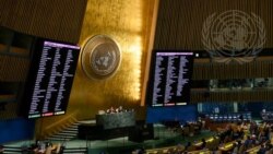 Updates from the 79th UN General Assembly