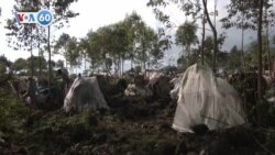 VOA國際60秒：2022年11月15日 