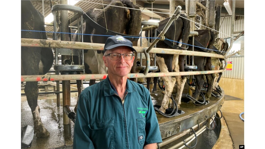 Peternak sapi perah Aidan Bichan di Kaiwaiwai Dairies, Featherston, Selandia Baru. 2 November 2022. (AP/Nick Perry)