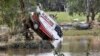 One of the many vehicles swept away during a flash flood, sits embedded in a tree in the town of Eugowra, Central West New South Wales, Tuesday, Nov. 15, 2022. 
