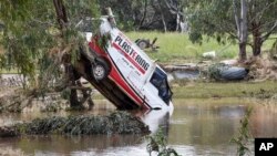 One of the many vehicles swept away during a flash flood, sits embedded in a tree in the town of Eugowra, Central West New South Wales, Tuesday, Nov. 15, 2022. 