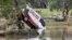 One of the many vehicles swept away during a flash flood, sits embedded in a tree in the town of Eugowra, Central West New South Wales, Tuesday, Nov. 15, 2022. 