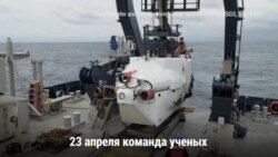 Коралловый риф длиной 140 км