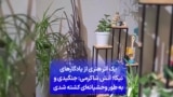 یک اثر هنری از یادگارهای نیکا؛ آتش شاکرمی: جنگیدی و به طور وحشیانه‌ای کشته شدی