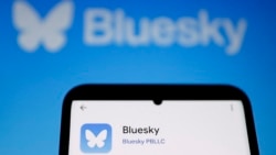 Quiz - Social Media Service Bluesky Adds Millions of Users Since US Election