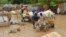 Des habitants évacuent leurs habitations suite à des inondations à Niamey au Niger, le 19 août 2012.