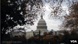 FILE- Capitol Hill in Washington, D.C., Nov. 10, 2013 (Diaa Bekheet/VOA).