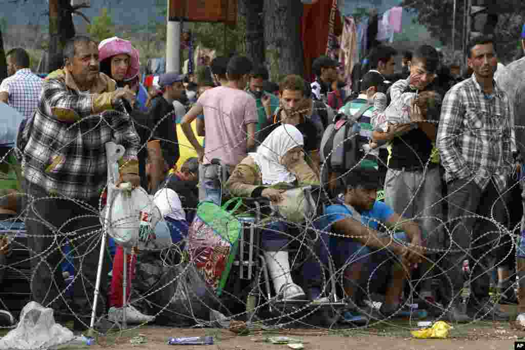 Macedonia Migrants