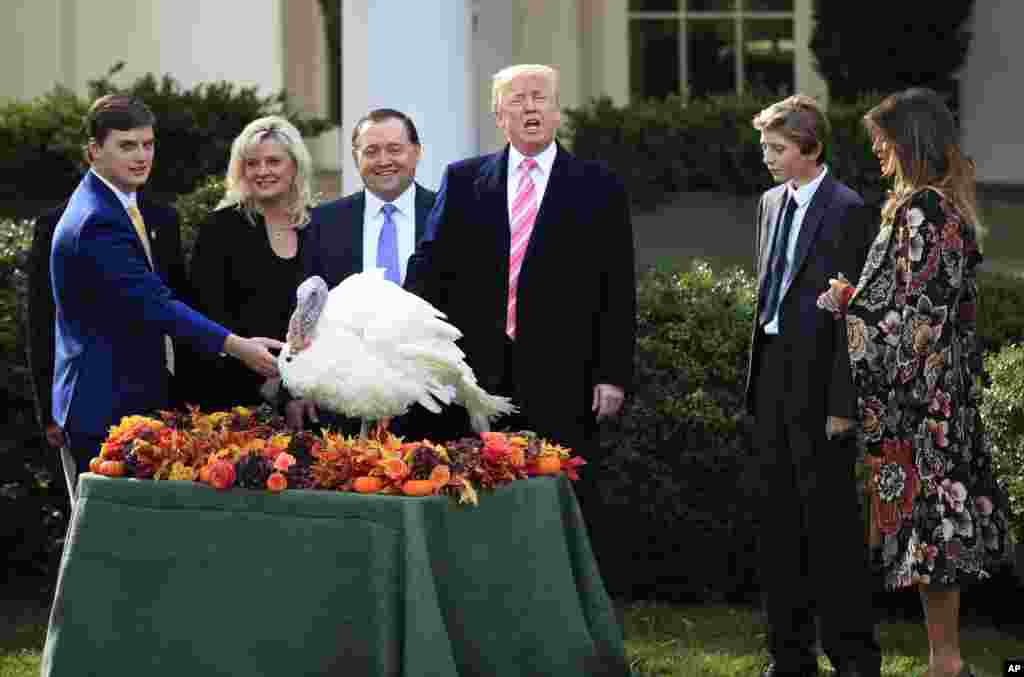 مراسم امسال بخشش بوقلمون در حضور پرزیدنت ترامپ، بانوی اول و بارون ترامپ که در &laquo;باغ رز&raquo; کاخ سفید برگزار شد.