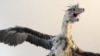 Earliest Fossil of Iridescent Dinosaur Feathers Reveals New Behavior Clues