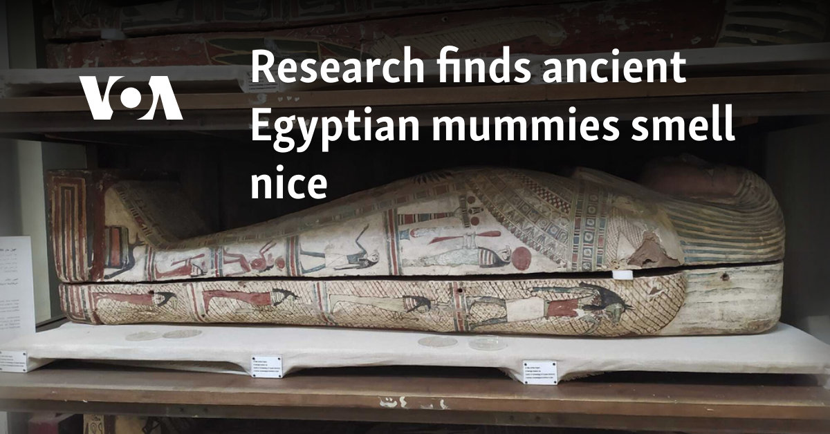 Research finds ancient Egyptian mummies smell nice